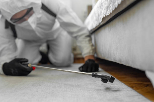 Professional Bed Bug Control technician working in Churubusco, IN