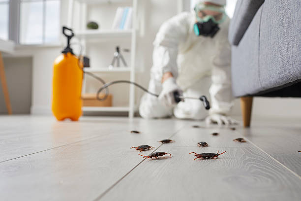 Trusted Termite Control service in Churubusco, IN - Nex Pest Control