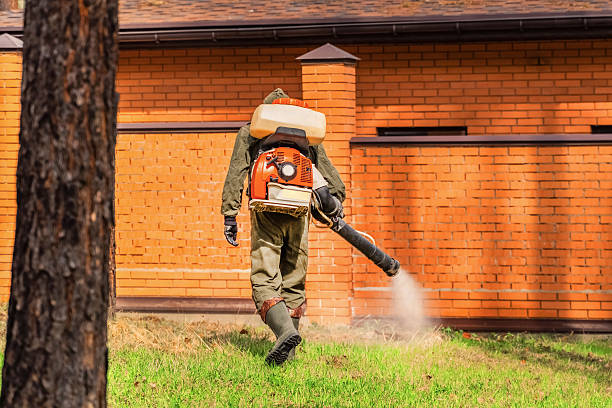 Trusted Emergency Pest Control service in Churubusco, IN - Nex Pest Control